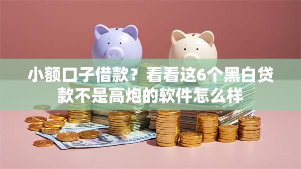 小额口子借款？看看这6个黑白贷款不是高炮的软件怎么样