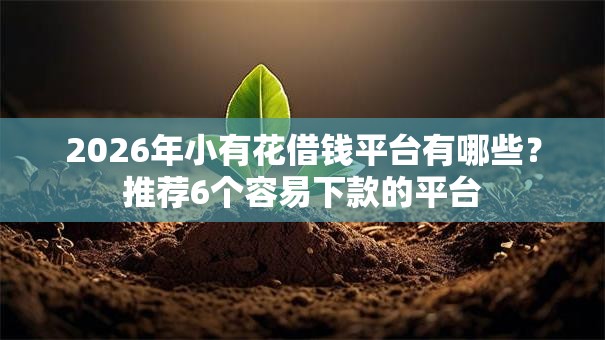 2026年小有花借钱平台有哪些？推荐6个容易下款的平台