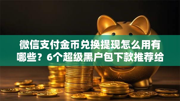 微信支付金币兑换提现怎么用有哪些？6个超级黑户包下款推荐给你