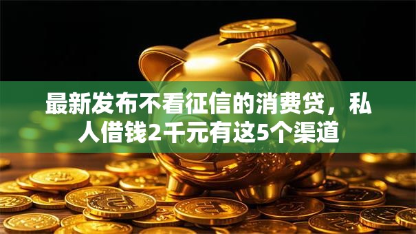 最新发布不看征信的消费贷，私人借钱2千元有这5个渠道