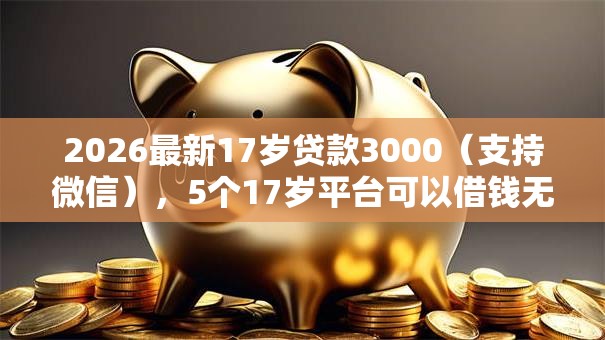 2026最新17岁贷款3000（支持微信），5个17岁平台可以借钱无私分享