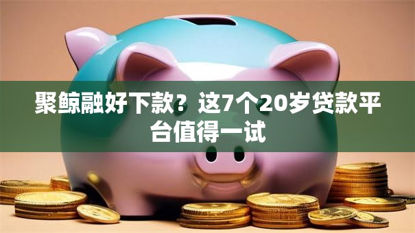 聚鲸融好下款？这7个20岁贷款平台值得一试