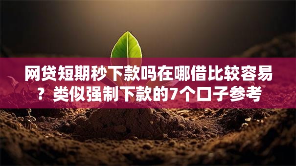 网贷短期秒下款吗在哪借比较容易？类似强制下款的7个口子参考