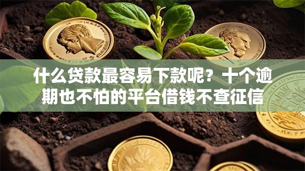 什么贷款最容易下款呢？十个逾期也不怕的平台借钱不查征信