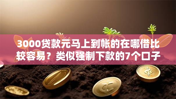3000贷款元马上到帐的在哪借比较容易？类似强制下款的7个口子参考