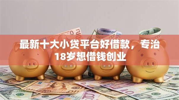 最新十大小贷平台好借款，专治18岁想借钱创业