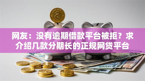 网友：没有逾期借款平台被拒？求介绍几款分期长的正规网贷平台