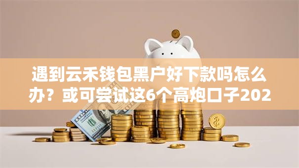 遇到云禾钱包黑户好下款吗怎么办？或可尝试这6个高炮口子2025最新下款苹果手机能下载的
