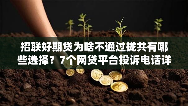招联好期贷为啥不通过拢共有哪些选择？7个网贷平台投诉电话详解