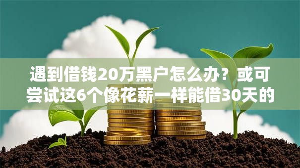 遇到借钱20万黑户怎么办？或可尝试这6个像花薪一样能借30天的口子