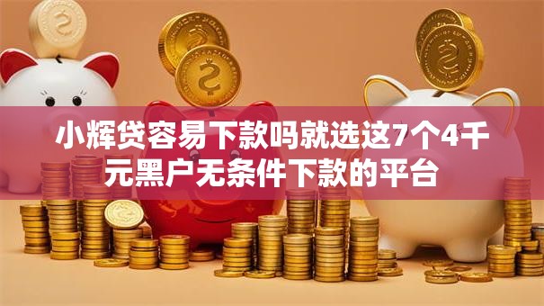 小辉贷容易下款吗就选这7个4千元黑户无条件下款的平台 小辉贷容易下款吗就选这7个4千元黑户无条件下款的平台