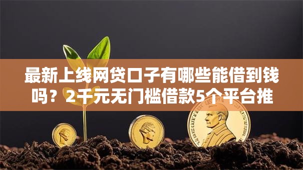 最新上线网贷口子有哪些能借到钱吗?2千元无门槛借款5个平台推荐 最新上线网贷口子有哪些能借到钱吗?2千元无门槛借款5个平台推荐
