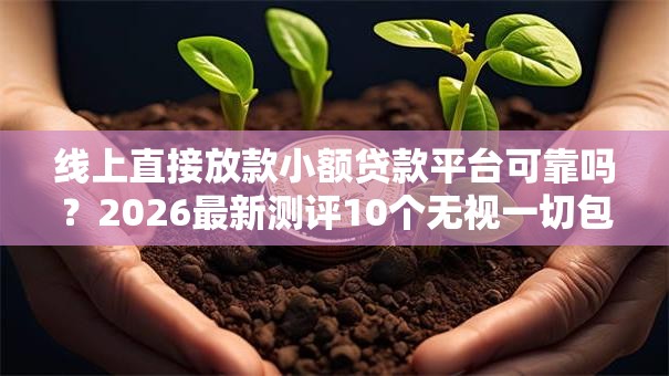 线上直接放款小额贷款平台可靠吗？2026最新测评10个无视一切包下1万的贷款
