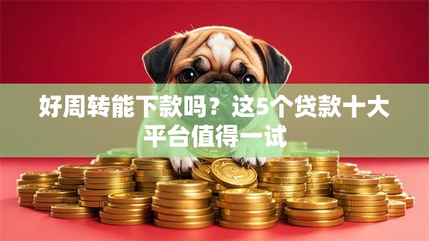 好周转能下款吗？这5个贷款十大平台值得一试