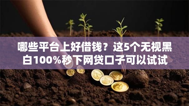 哪些平台上好借钱？这5个无视黑白100%秒下网贷口子可以试试