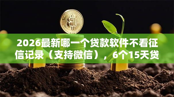 2026最新哪一个贷款软件不看征信记录（支持微信），6个15天贷款平台无私分享