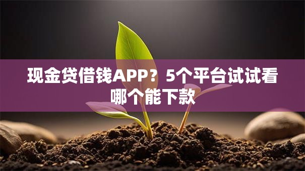 现金贷借钱APP？5个平台试试看哪个能下款