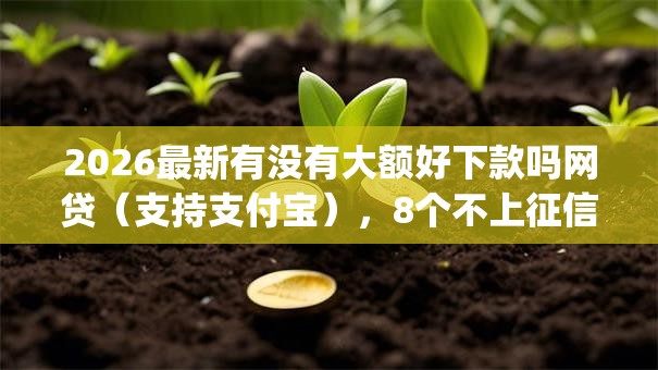 2026最新有没有大额好下款吗网贷（支持支付宝），8个不上征信的贷款app无私分享