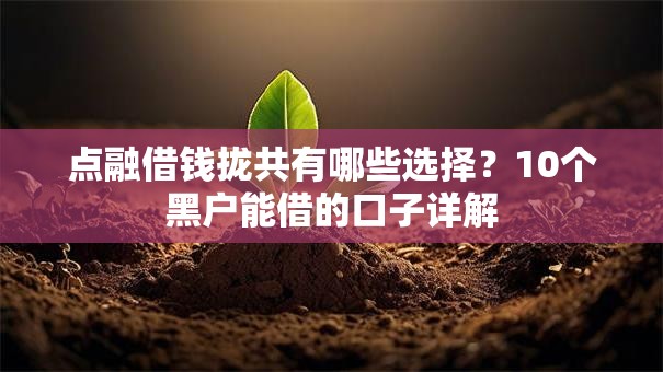 点融借钱拢共有哪些选择?10个黑户能借的口子详解 点融借钱拢共有哪些选择?10个黑户能借的口子详解