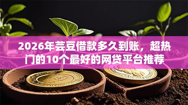 2026年芸豆借款多久到账，超热门的10个最好的网贷平台推荐