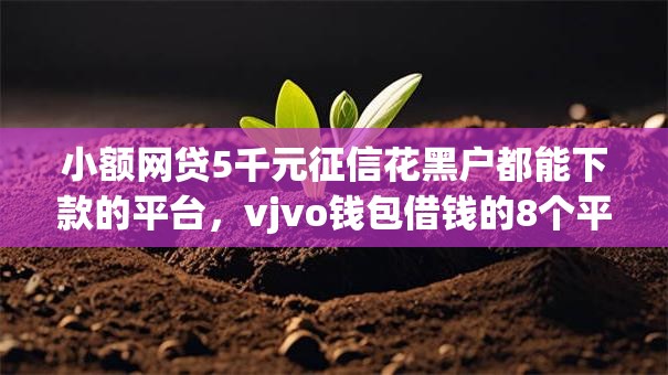 小额网贷5千元征信花黑户都能下款的平台,vjvo钱包借钱的8个平台介绍 小额网贷5千元征信花黑户都能下款的平台,vjvo钱包借钱的8个平台介绍