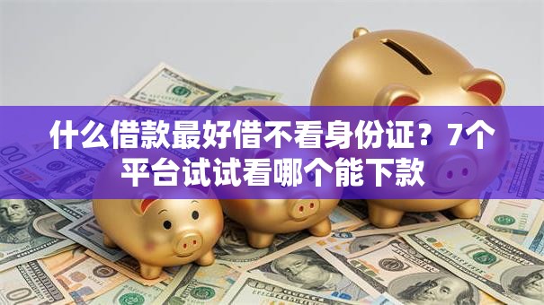 什么借款最好借不看身份证？7个平台试试看哪个能下款