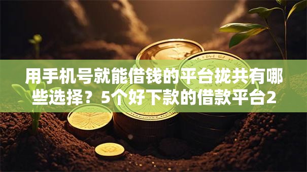 用手机号就能借钱的平台拢共有哪些选择?5个好下款的借款平台2025详解 用手机号就能借钱的平台拢共有哪些选择?5个好下款的借款平台2025详解