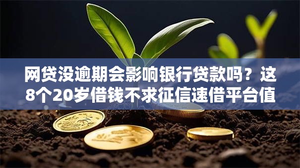 网贷没逾期会影响银行贷款吗？这8个20岁借钱不求征信速借平台值得一试