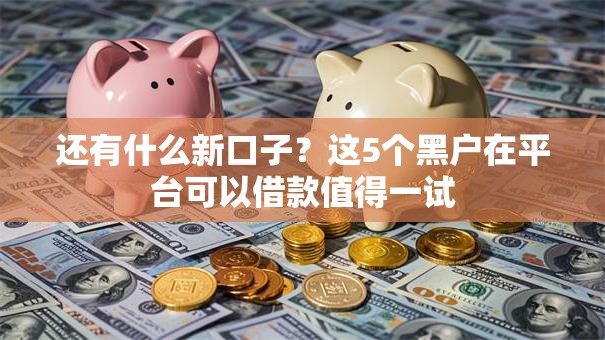还有什么新口子？这5个黑户在平台可以借款值得一试