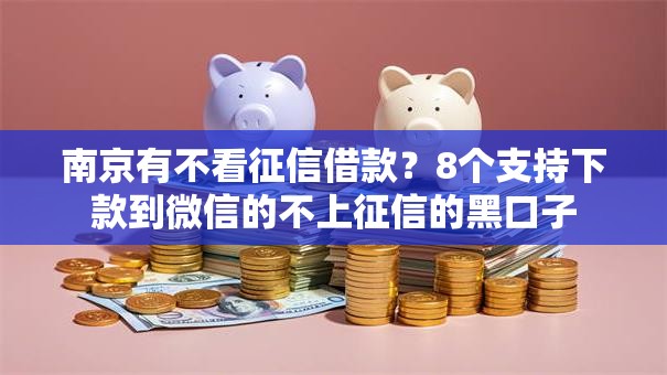 南京有不看征信借款？8个支持下款到微信的不上征信的黑口子