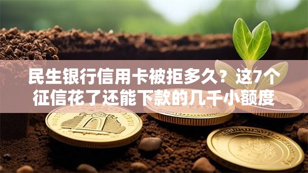 民生银行信用卡被拒多久？这7个征信花了还能下款的几千小额度平台值得一试