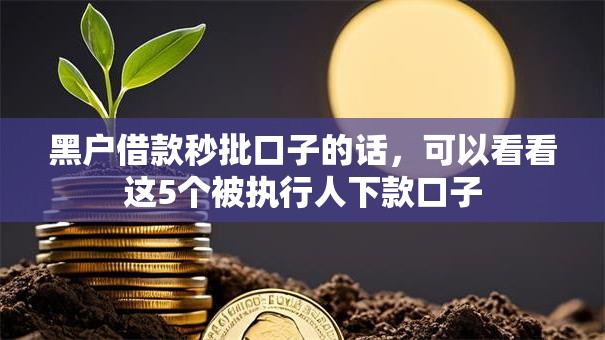 黑户借款秒批口子的话，可以看看这5个被执行人下款口子