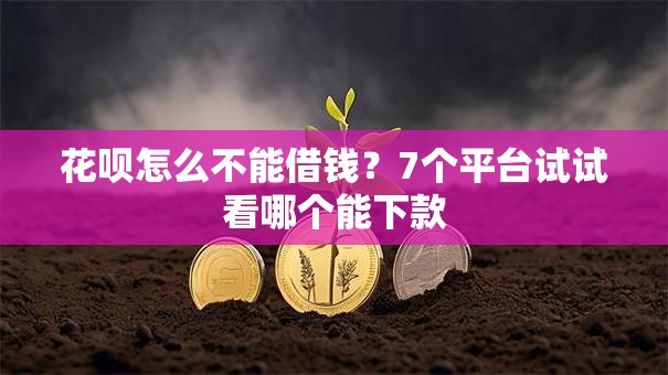 花呗怎么不能借钱？7个平台试试看哪个能下款