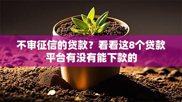 不审征信的贷款?看看这8个贷款平台有没有能下款的 不审征信的贷款?看看这8个贷款平台有没有能下款的