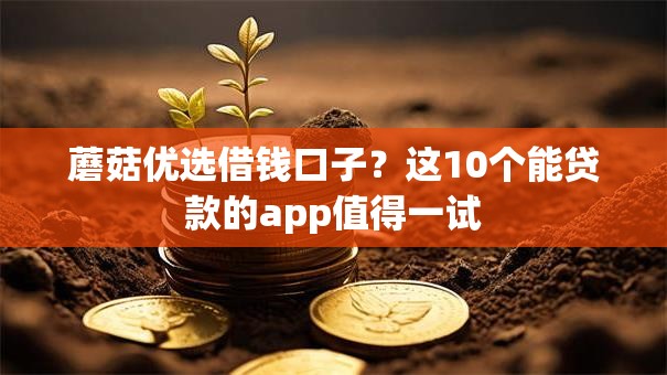蘑菇优选借钱口子？这10个能贷款的app值得一试