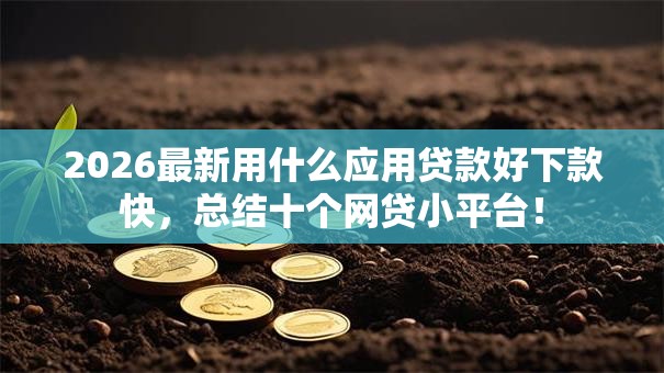 2026最新用什么应用贷款好下款快，总结十个网贷小平台！