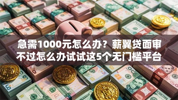 急需1000元怎么办？薪翼贷面审不过怎么办试试这5个无门槛平台