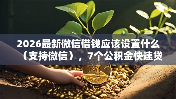2026最新微信借钱应该设置什么（支持微信），7个公积金快速贷款平台无私分享