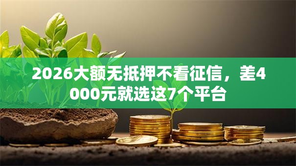 2026大额无抵押不看征信，差4000元就选这7个平台