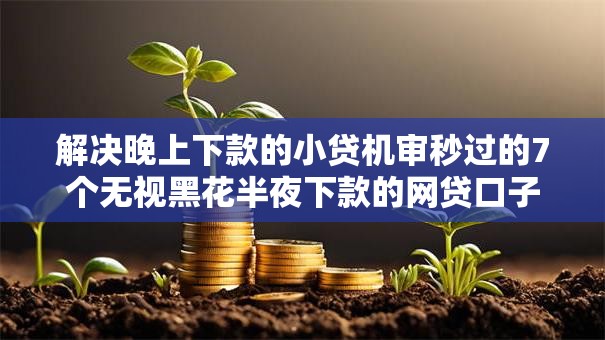 解决晚上下款的小贷机审秒过的7个无视黑花半夜下款的网贷口子分享