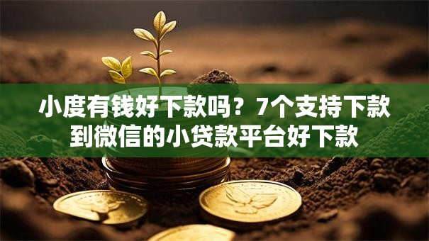 小度有钱好下款吗?7个支持下款到微信的小贷款平台好下款 小度有钱好下款吗?7个支持下款到微信的小贷款平台好下款