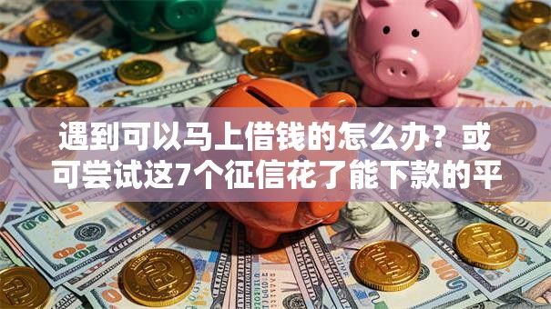 遇到可以马上借钱的怎么办？或可尝试这7个征信花了能下款的平台