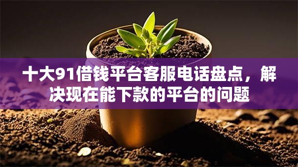 十大91借钱平台客服电话盘点，解决现在能下款的平台的问题