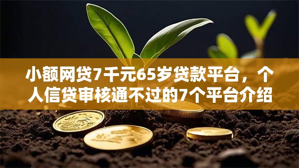 小额网贷7千元65岁贷款平台，个人信贷审核通不过的7个平台介绍
