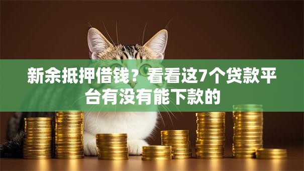 新余抵押借钱？看看这7个贷款平台有没有能下款的
