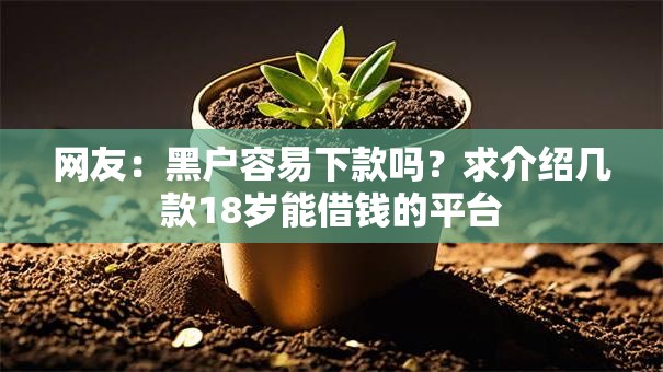 网友：黑户容易下款吗？求介绍几款18岁能借钱的平台