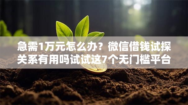 急需1万元怎么办？微信借钱试探关系有用吗试试这7个无门槛平台