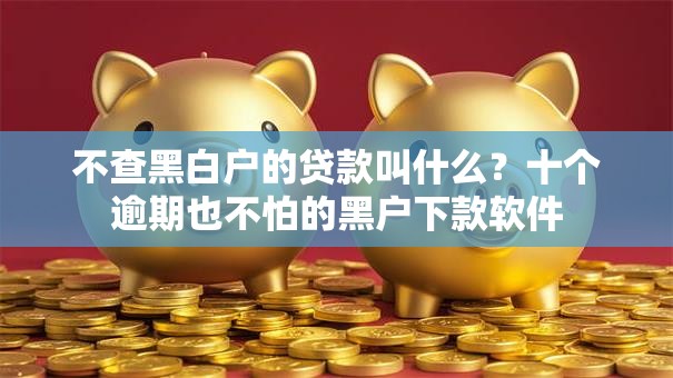 不查黑白户的贷款叫什么？十个逾期也不怕的黑户下款软件