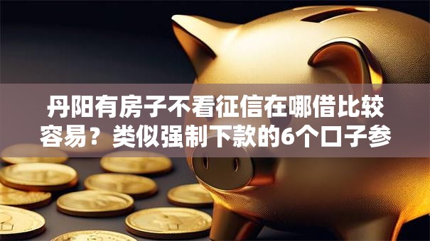 丹阳有房子不看征信在哪借比较容易？类似强制下款的6个口子参考