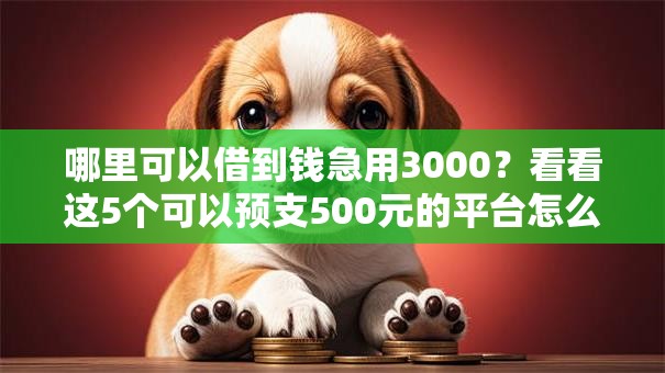 哪里可以借到钱急用3000？看看这5个可以预支500元的平台怎么样